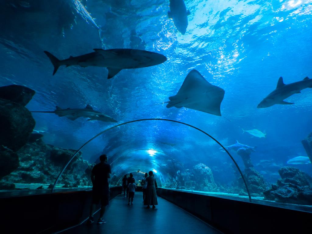Aquaria KLCC